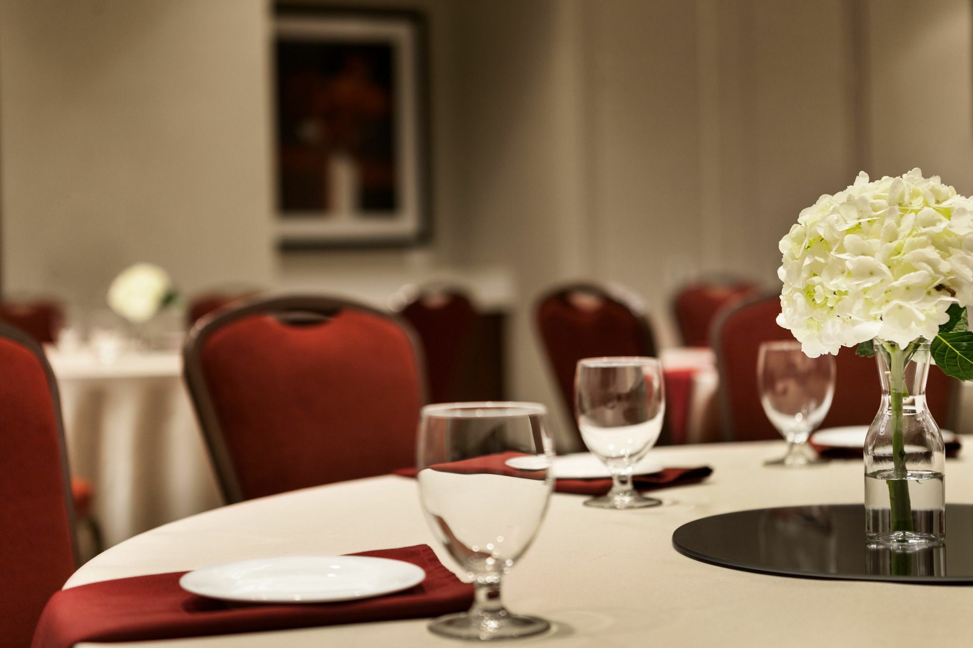 Hilton Garden Inn Charlotte Southpark Eksteriør billede